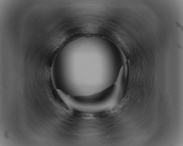 X0000093760168200710161229
