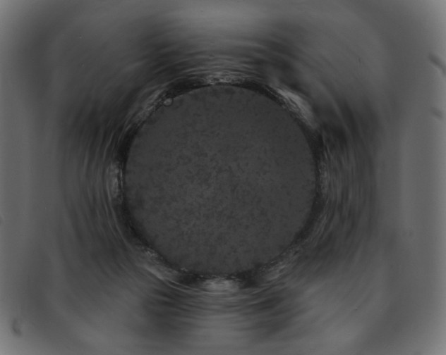 X0000093760169200710161229