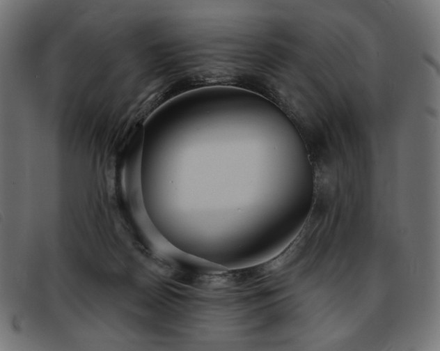 X0000093760170200710161229