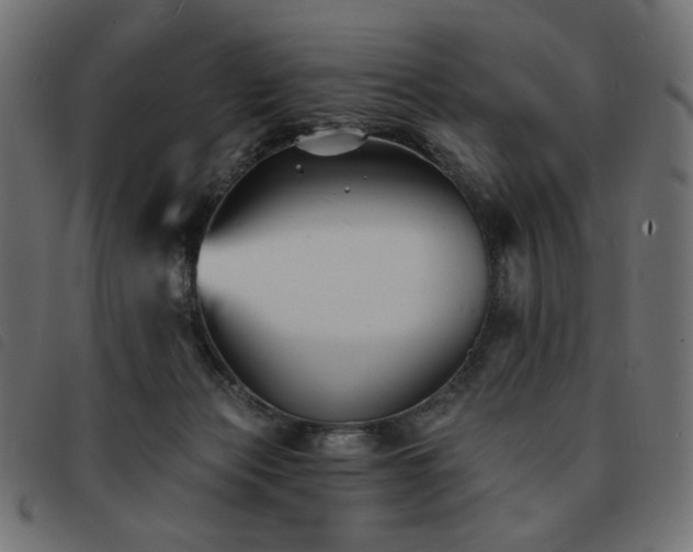 X0000093760173200710161230
