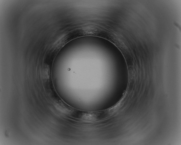 X0000093760174200710161230