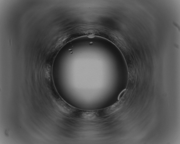 X0000093760175200710161230
