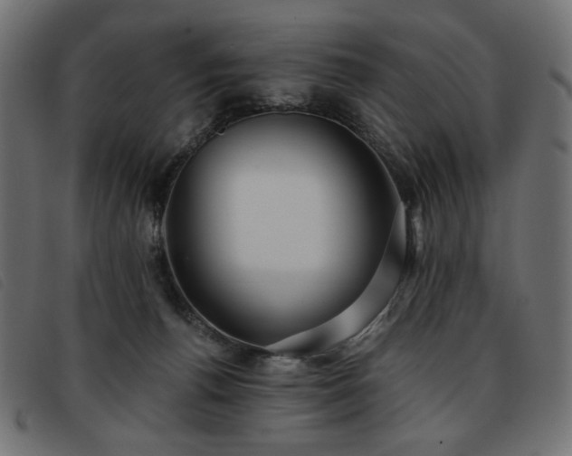 X0000093760176200710161230