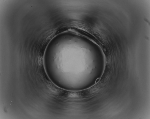 X0000093760177200710161230