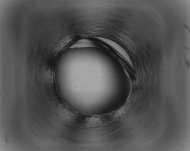 X0000093760180200710161230