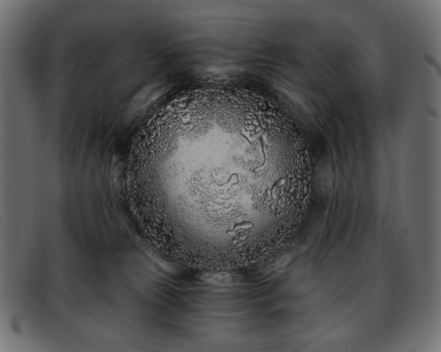 X0000093760181200710161230