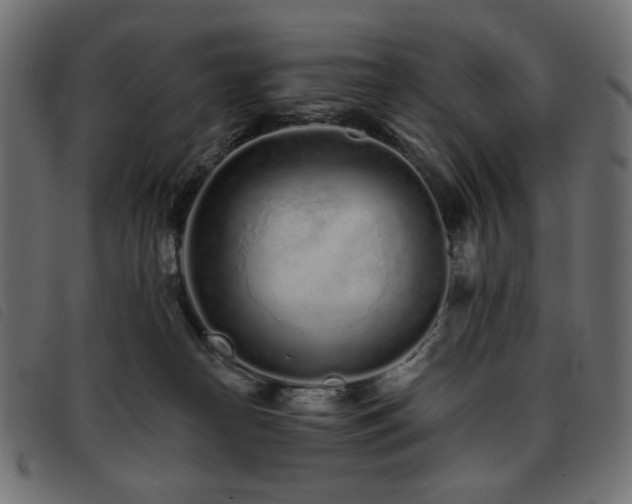 X0000093760182200710161230