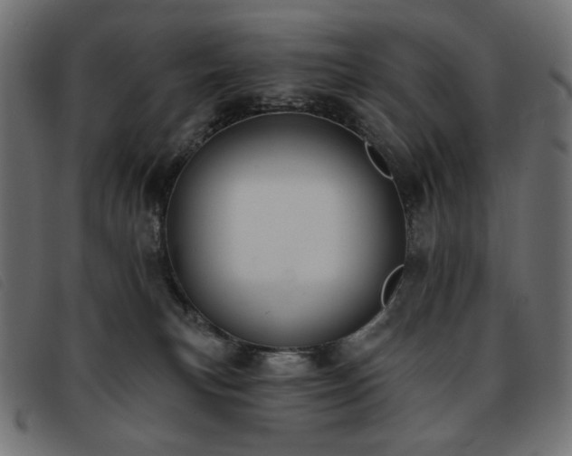 X0000093760183200710161230