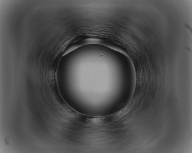 X0000093760184200710161230