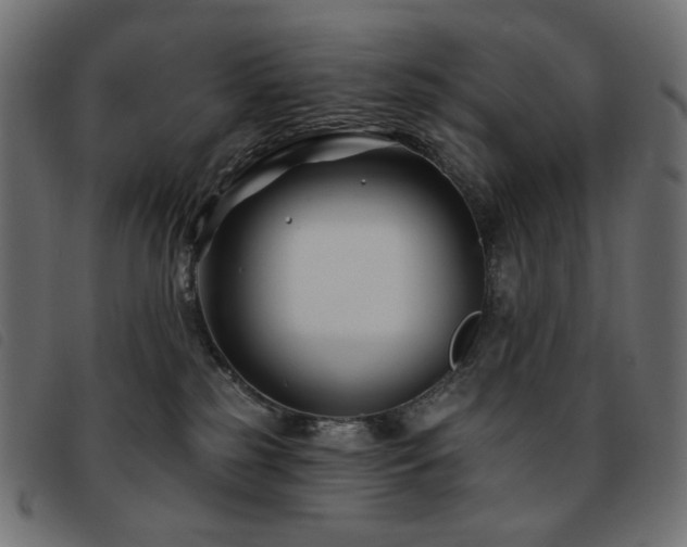X0000093760185200710161230