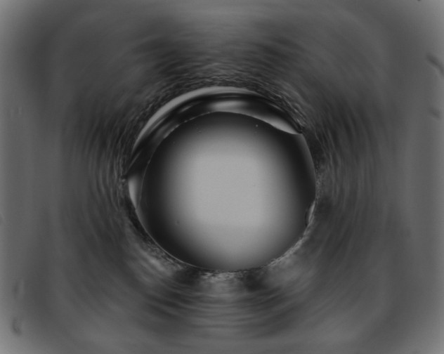 X0000093760186200710161230