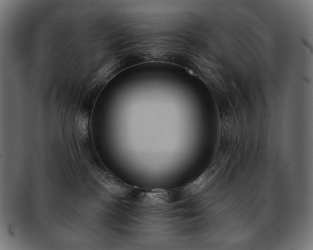 X0000093760188200710161230