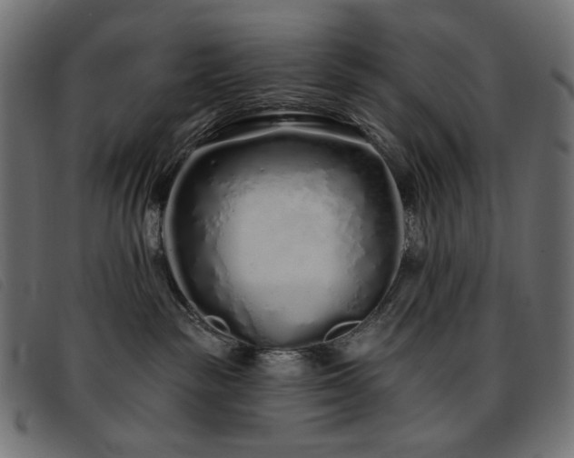 X0000093760189200710161230