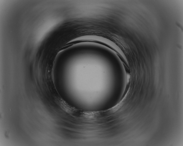 X0000093760190200710161230