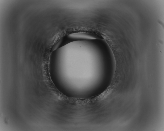 X0000093760192200710161230