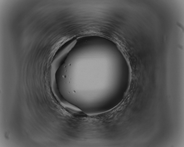 X0000093760193200710161229