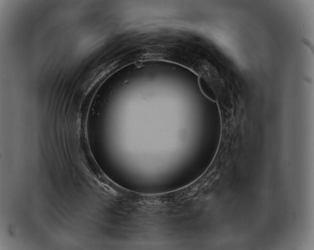 X0000093760194200710161229