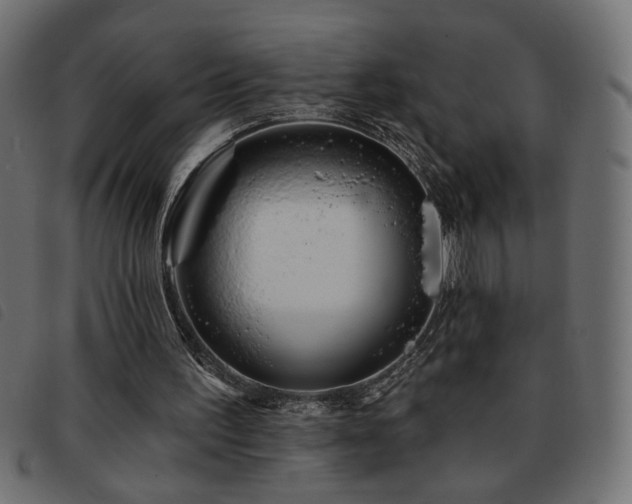 X0000093760195200710161229