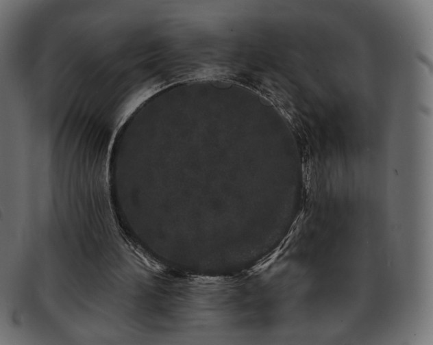 X0000093760196200710161229