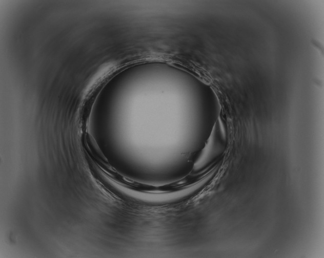 X0000093760197200710161229