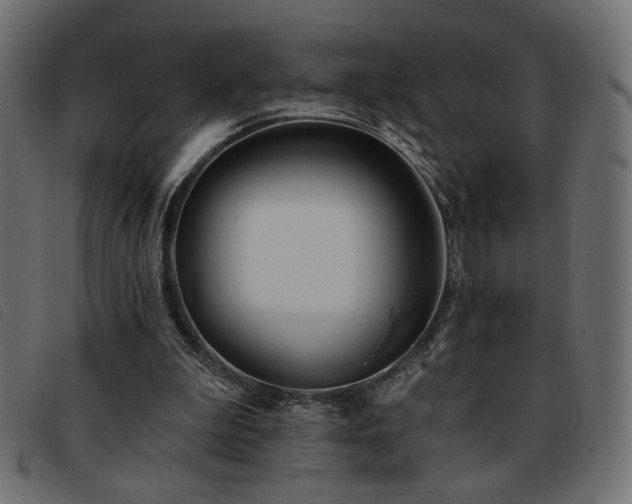 X0000093760199200710161229