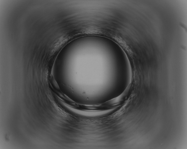 X0000093760201200710161229
