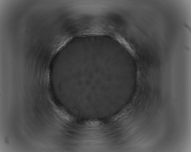 X0000093760202200710161229
