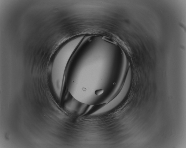 X0000093760203200710161229