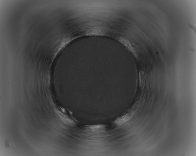 X0000093760204200710161229