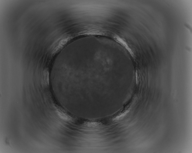 X0000093760205200710161229