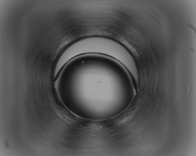 X0000093760207200710161229