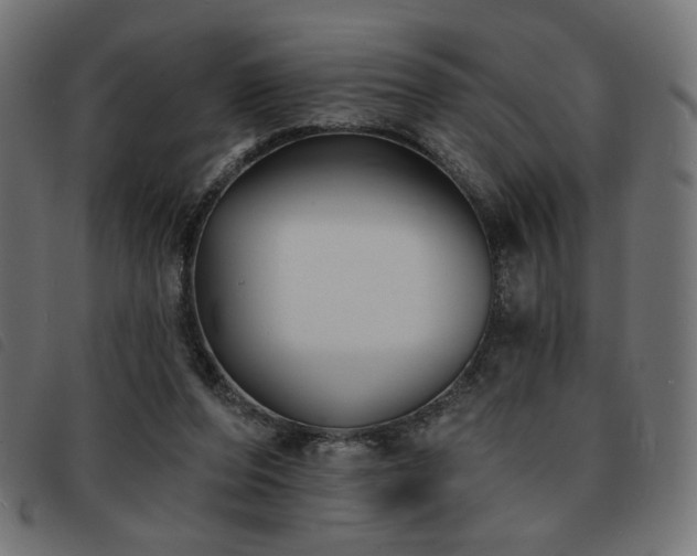X0000093760208200710161229