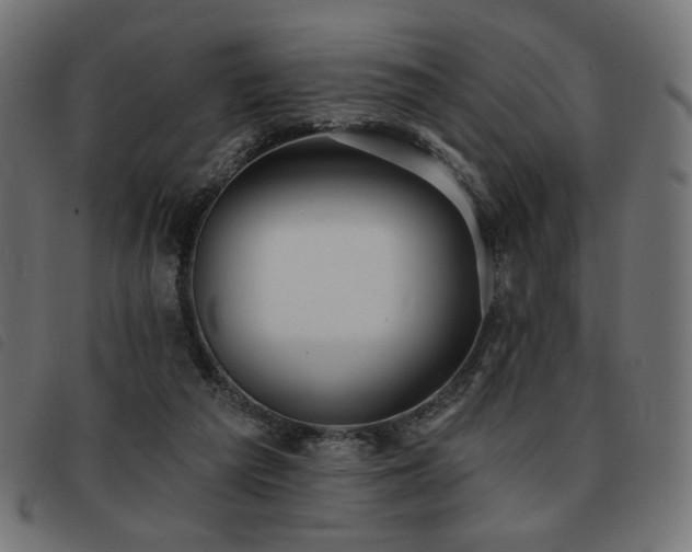 X0000093760209200710161229