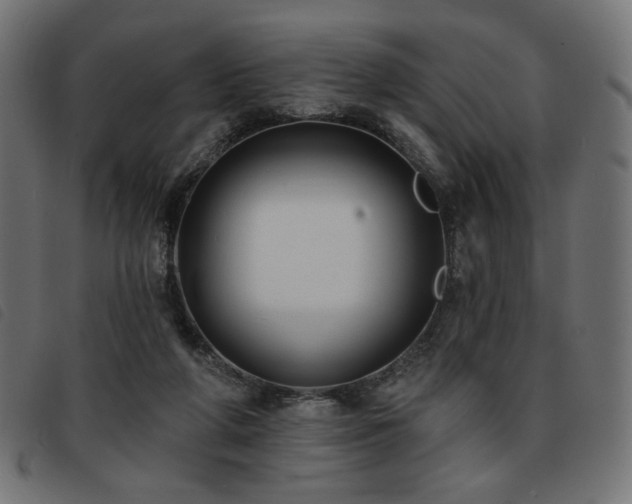 X0000093760210200710161229