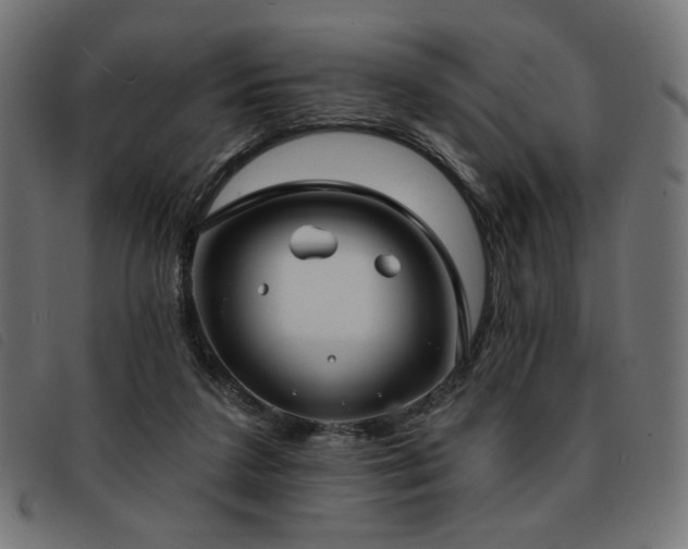 X0000093760211200710161229