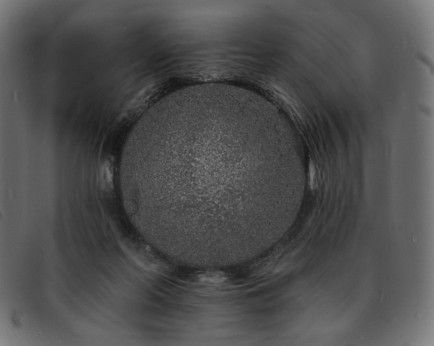 X0000093760214200710161229
