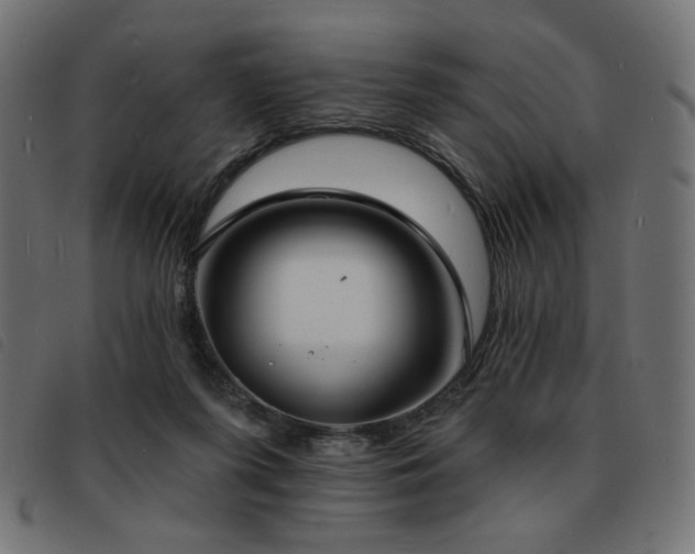 X0000093760215200710161229
