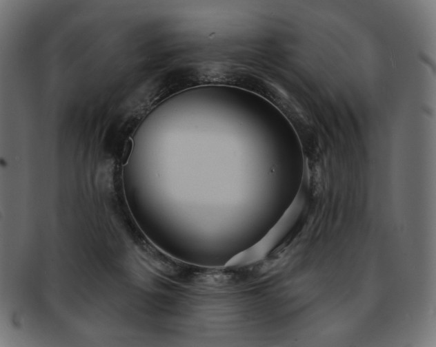 X0000093760217200710161229