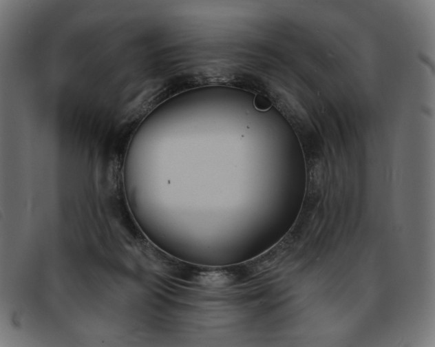X0000093760218200710161229