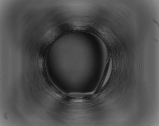 X0000093760219200710161229