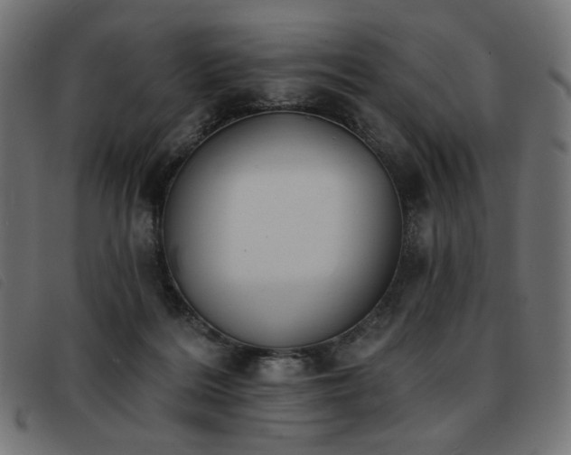 X0000093760220200710161229