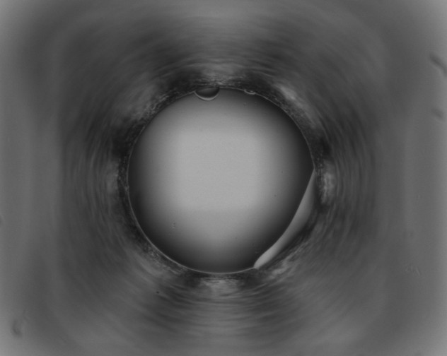 X0000093760221200710161229