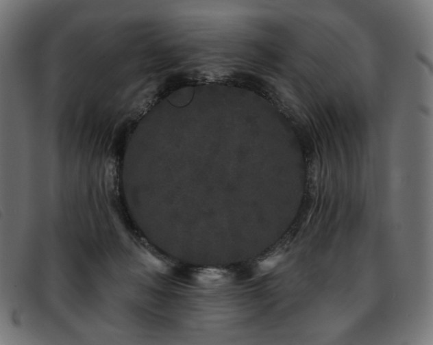 X0000093760222200710161229