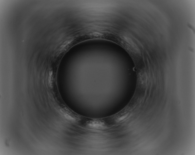 X0000093760223200710161229