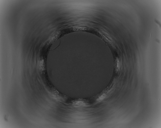 X0000093760224200710161229