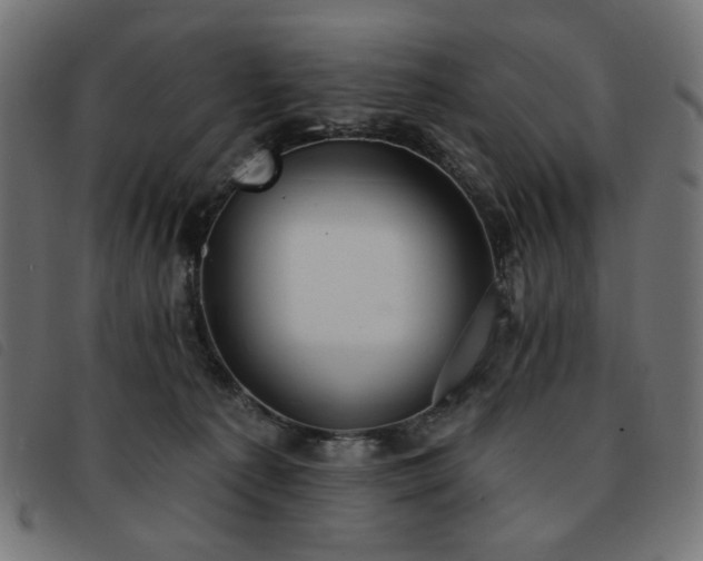 X0000093760225200710161229