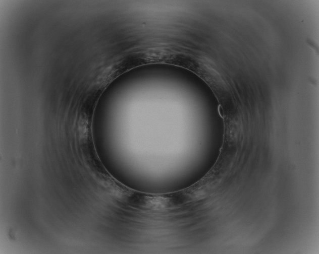 X0000093760226200710161229