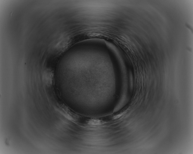 X0000093760227200710161229