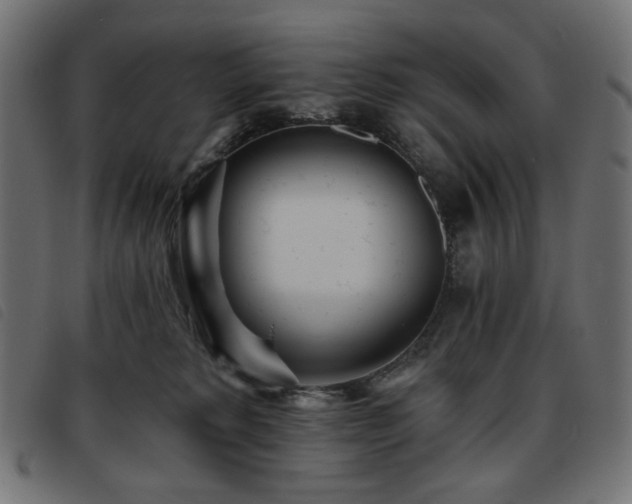 X0000093760229200710161229