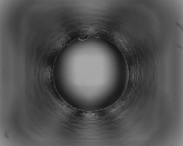 X0000093760230200710161229